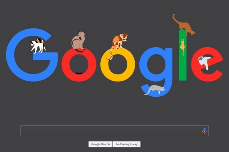 Google apk đã quá nổi tiếng từ bao đời nay